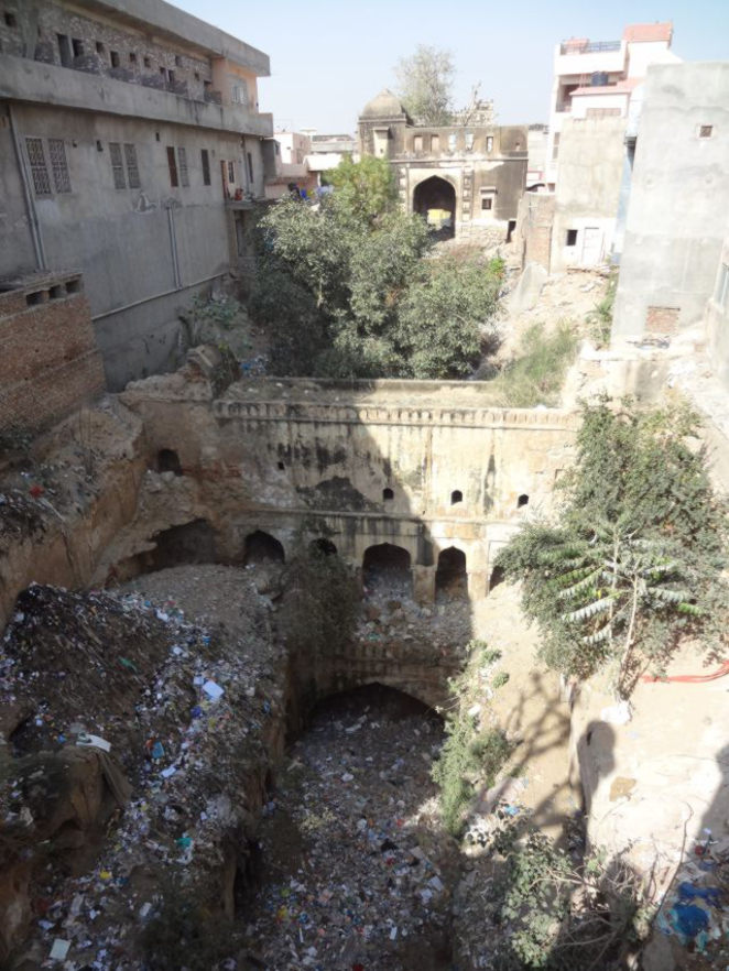 MUS 050116-Derelict Baoli, Fatehpur, Rajasthan-30